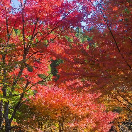 お宿　華坊 南小国町 エクステリア 写真