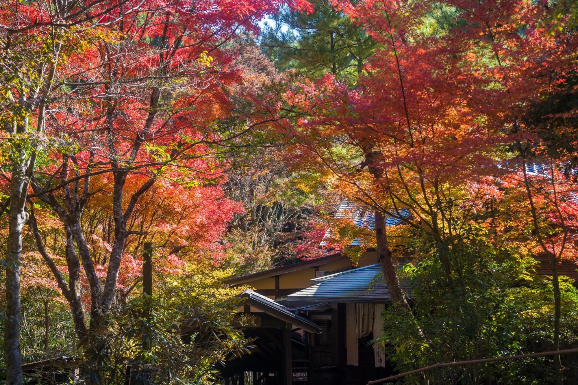 お宿　華坊 南小国町 エクステリア 写真