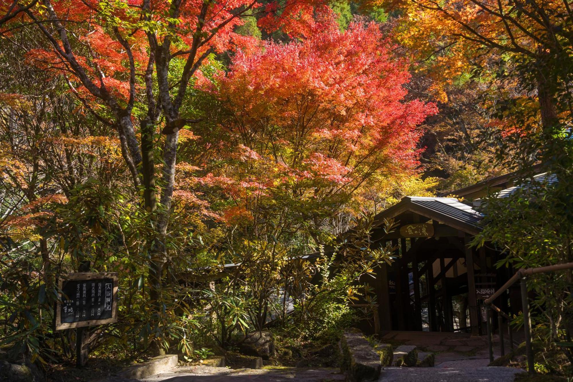 お宿　華坊 南小国町 エクステリア 写真