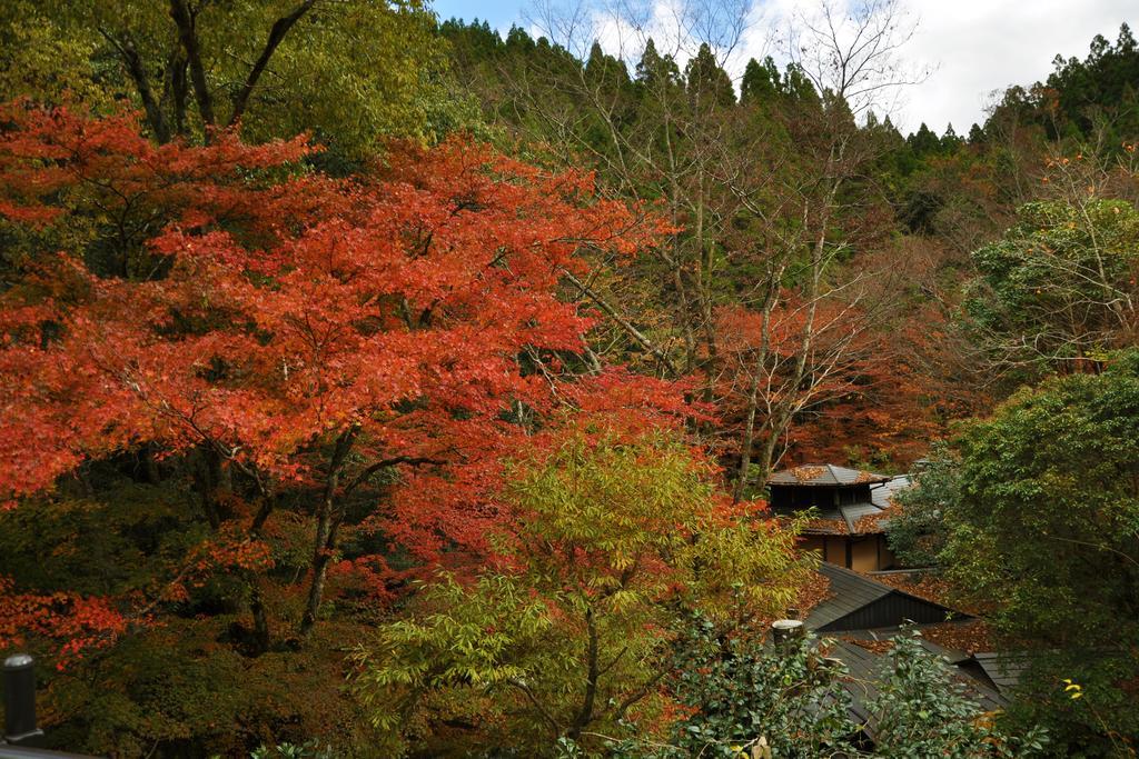 お宿　華坊 南小国町 エクステリア 写真